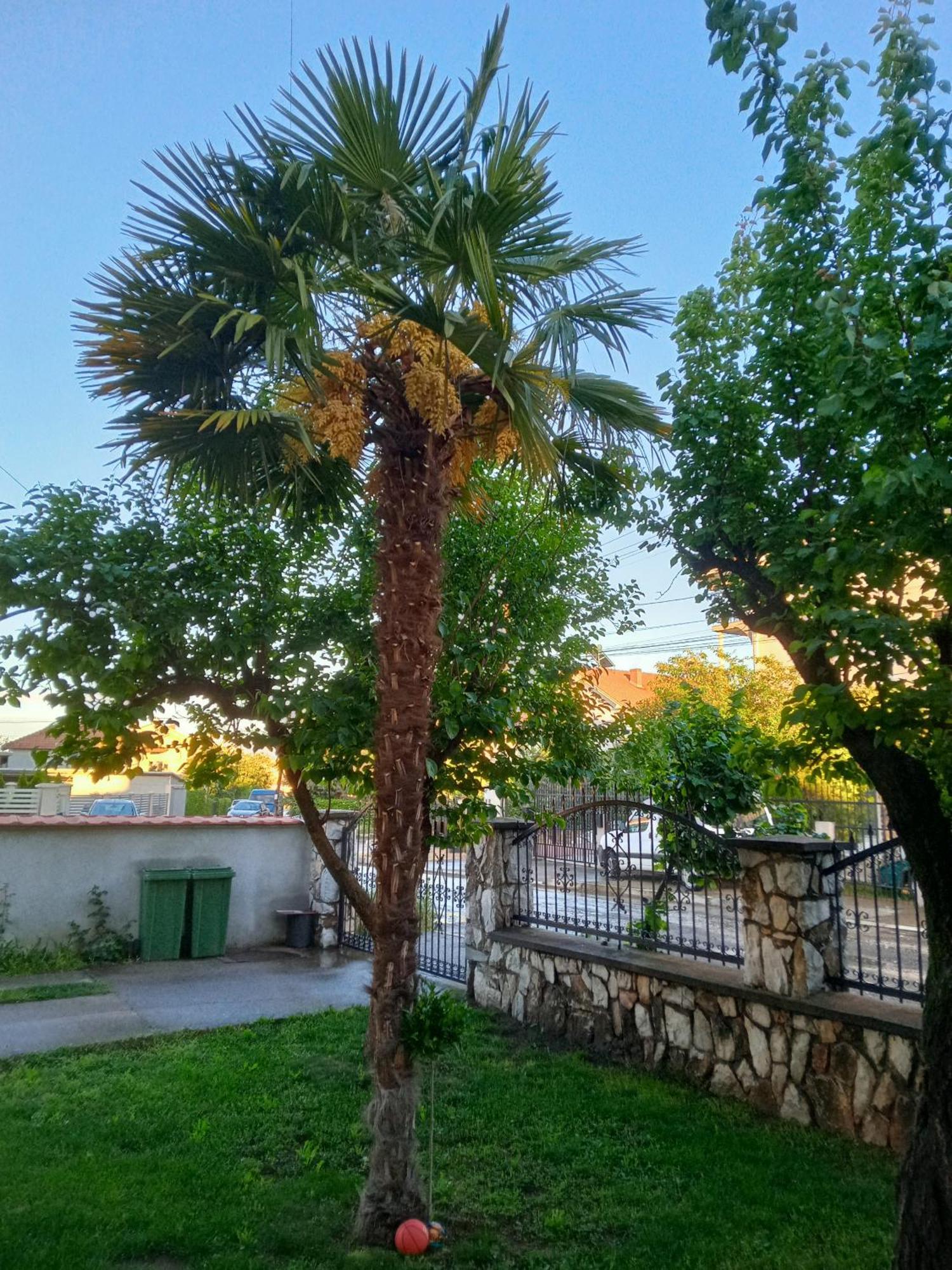 Apartman ZAFIROVI Gevgelija Bagian luar foto